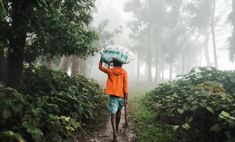 increase instagram followers strategically