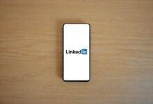 master professional networking skills