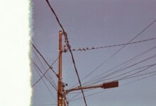 support line available today