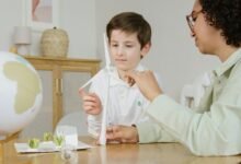 sustainable business model development