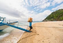 business intelligence advanced insights