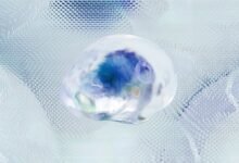 executive intelligence performance evaluation