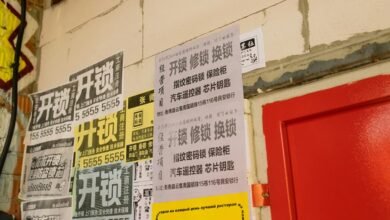 contact number verification details